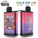 vape with ice control disposable bang 28000 puffs