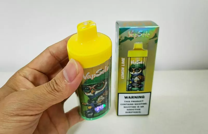 vapsolo 40k puffs digital vape king pro manufacturer