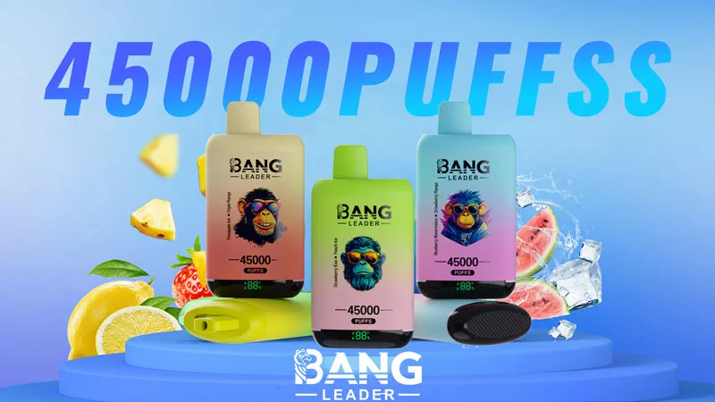 bang leader 45000 puffs dual flavors 18 flavors 45k