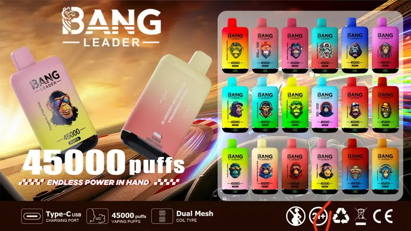 bang leader 45000 puffs dual flavors 18 flavors 45k flavor list