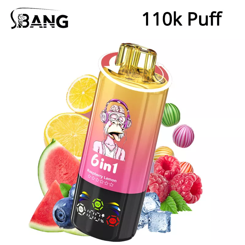 bang leader 110k puffs 6 in 1 vape wholesale price