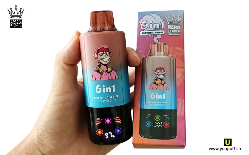 bang leader 110k puffs 6 in 1 vape digital display 