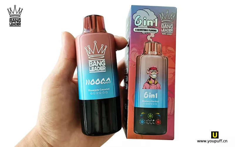 bang leader 110k puffs 6 in 1 vape free shipping cost