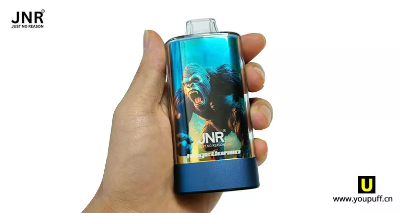 JNR Rage Gorilla 55k puffs back picture