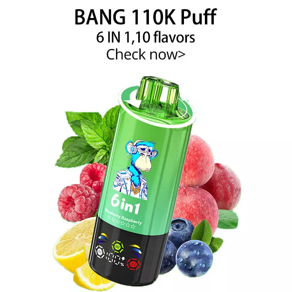 bang leader 110k puffs 6 in 1 vape