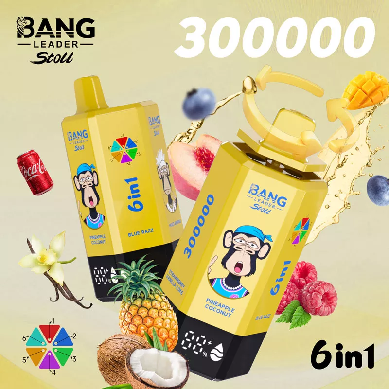 bang leader 300k puffs 6 in 1 vape original manufacturer bang leader 300k puffs 6 in 1 vape original manufacturer