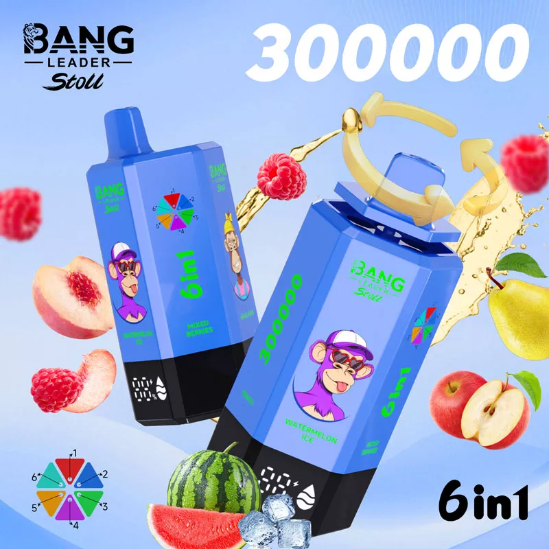 bang leader 300k puffs 6 in 1 vape wholesale price bang leader 300k puffs 6 in 1 vape wholesale price