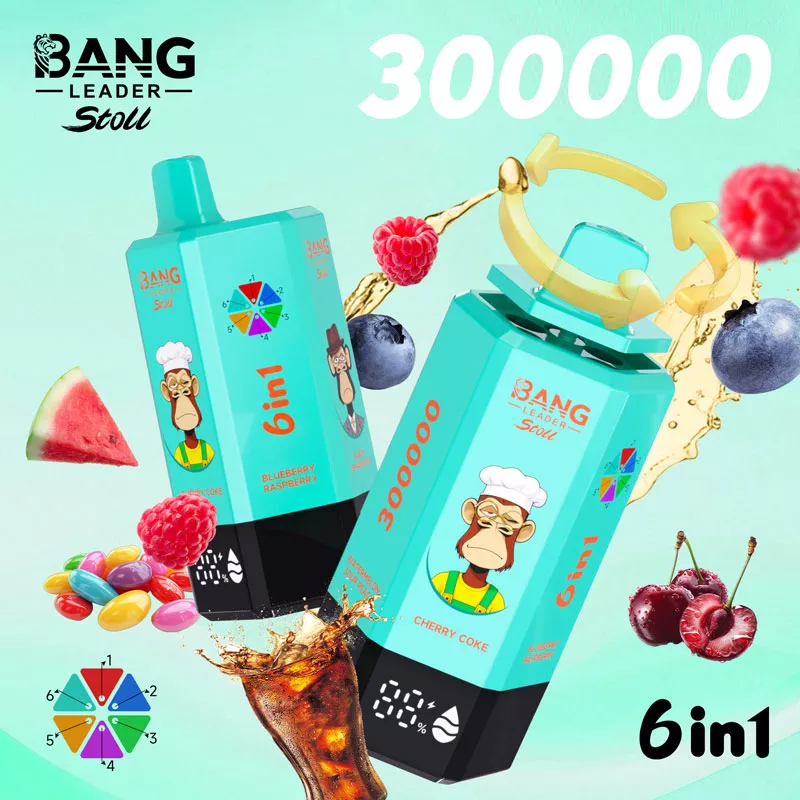 bang leader 300k puffs 6 in 1 vape fihp OEM ODM bang leader 300k puffs 6 in 1 vape fihp OEM ODM