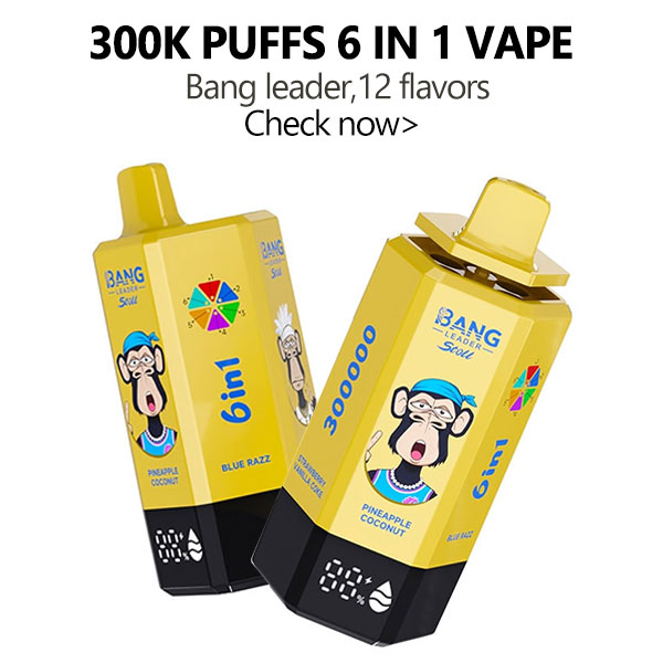 bang leader 300k puffs 6 in 1 vapes 12 flavors
