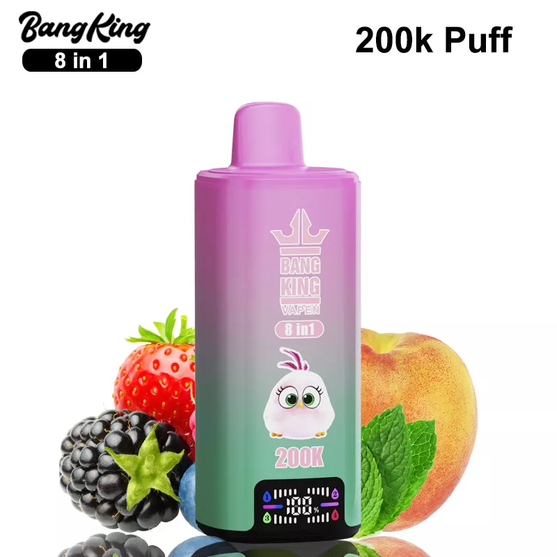 bang king 200k puffs 8 in 1 vape original manufacturer bang king 200k puffs 8 in 1 vape original manufacturer